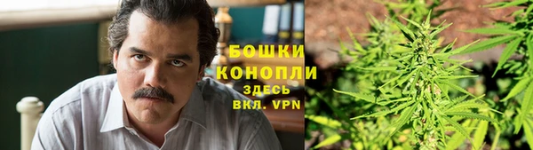 экстази Бородино