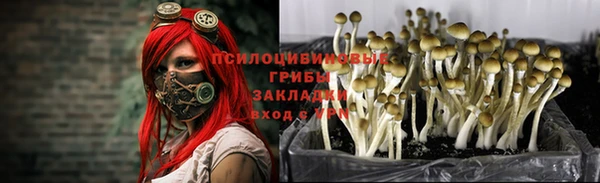 каннабис Бронницы