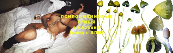 экстази Бородино