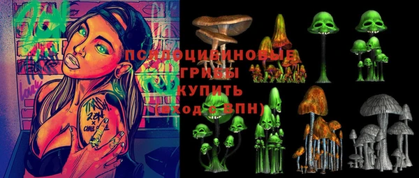 экстази Бородино